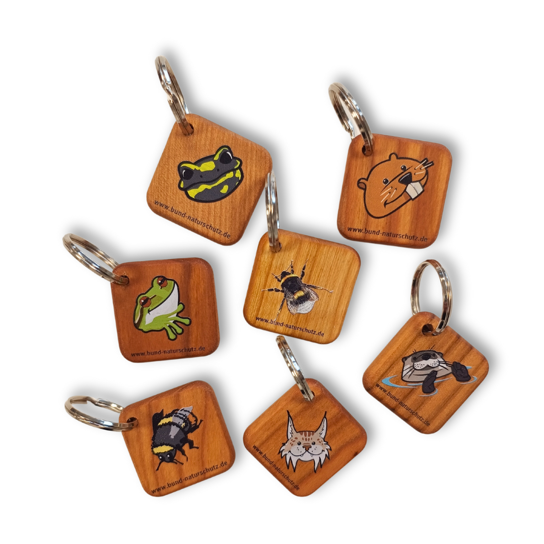 Verschiedene Schlüsselanhänger aus Holz mit UV-Druck