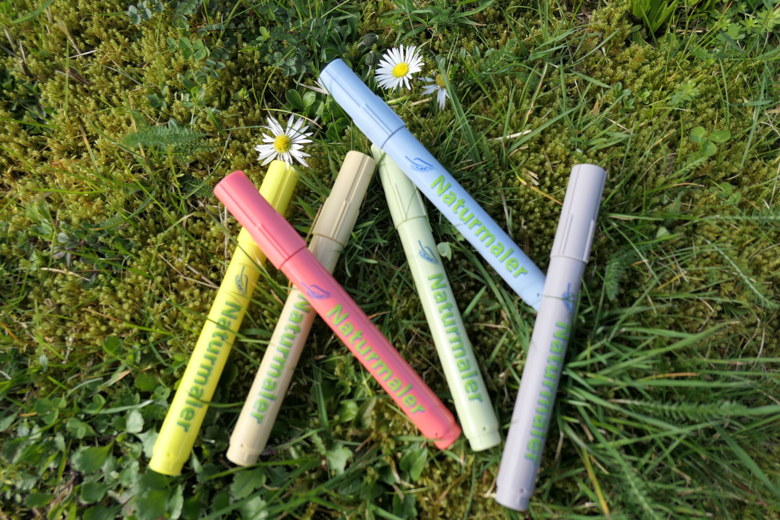 Nachhaltige Naturmalstifte in sechs verschiedenen Farben