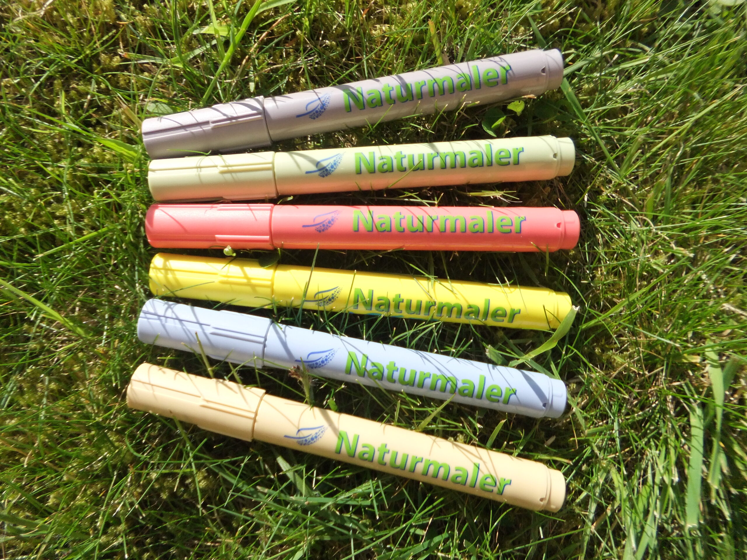 Sechs Naturmalstifte auf einer Wiese