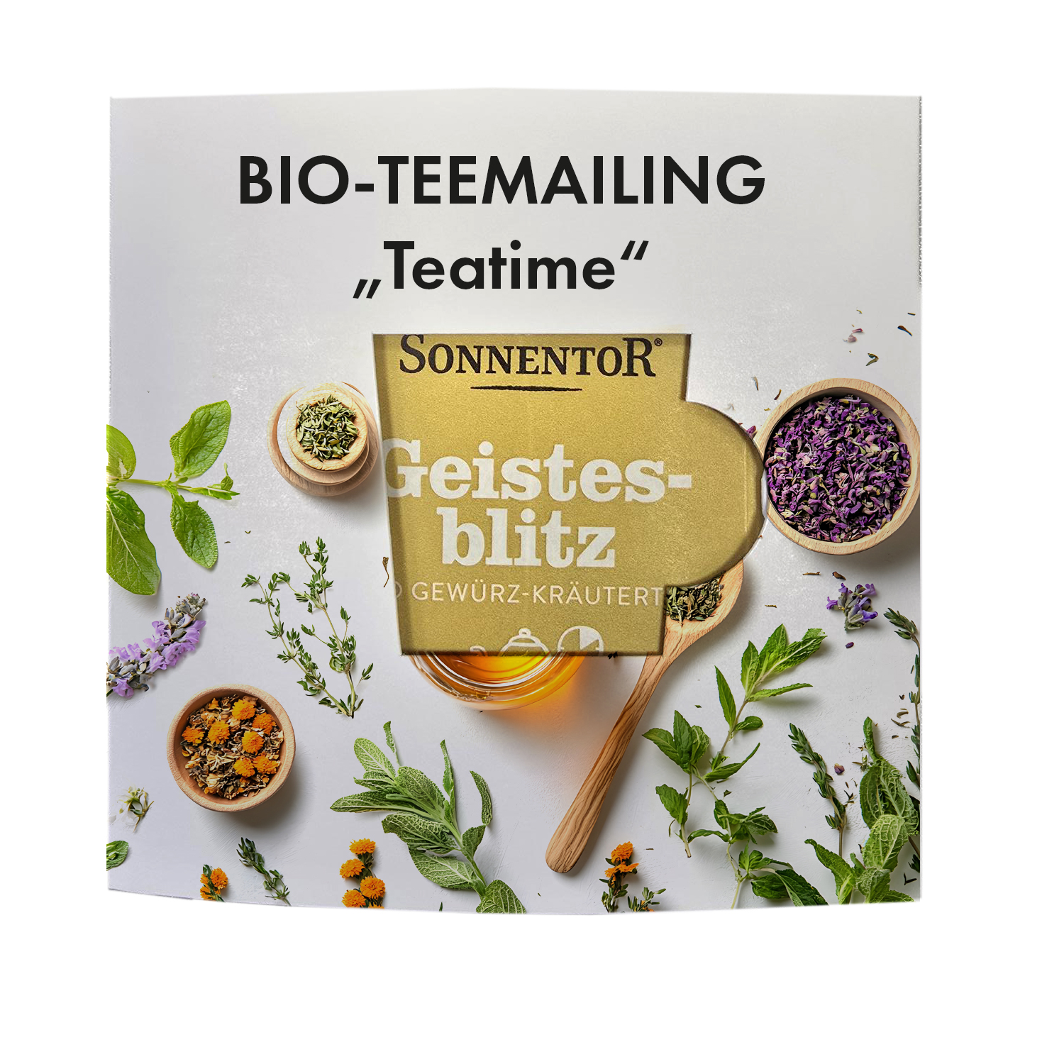 BIO-Tea-Time Mailingcard Vorderseite
