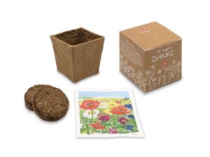 Samenpflanzset in Faltschachtel Würfel mit Werbeanbringung