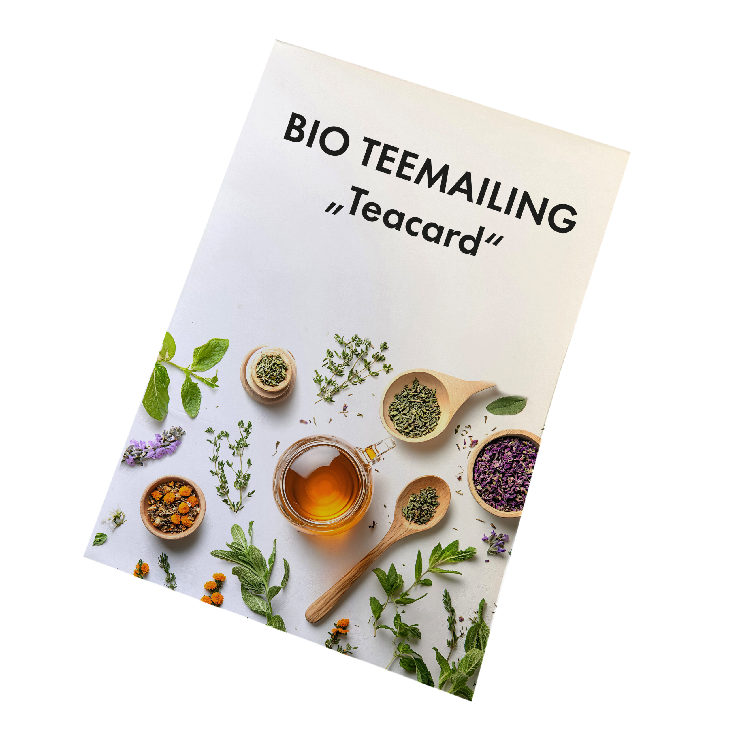 Teacard Mailingkarte Vorderseite geschlossen