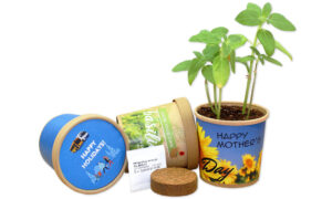 Drei Eco-Pots mit Werbeanbringung und Bio-Basilikum