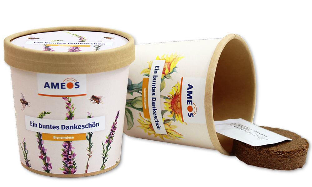 Zwei Eco-Pot Aufzugsets mit Werbeanbringung