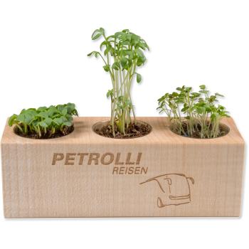 Pflanz-Holz-Set mit Logo-Gravur