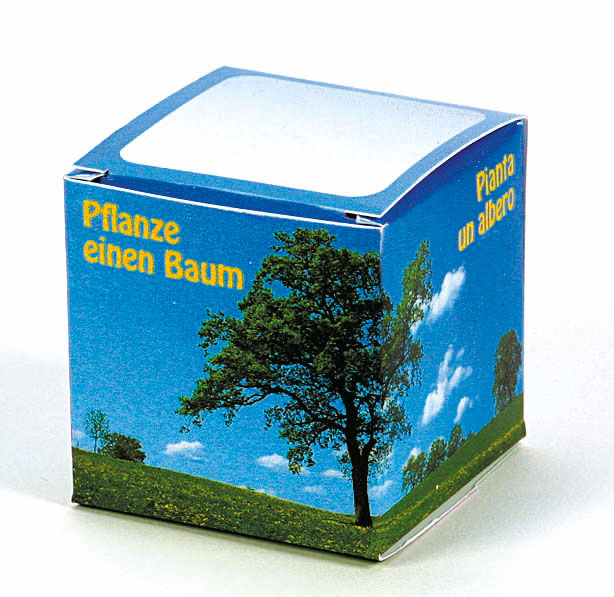 Saatwürfel mit Tontöpfchen