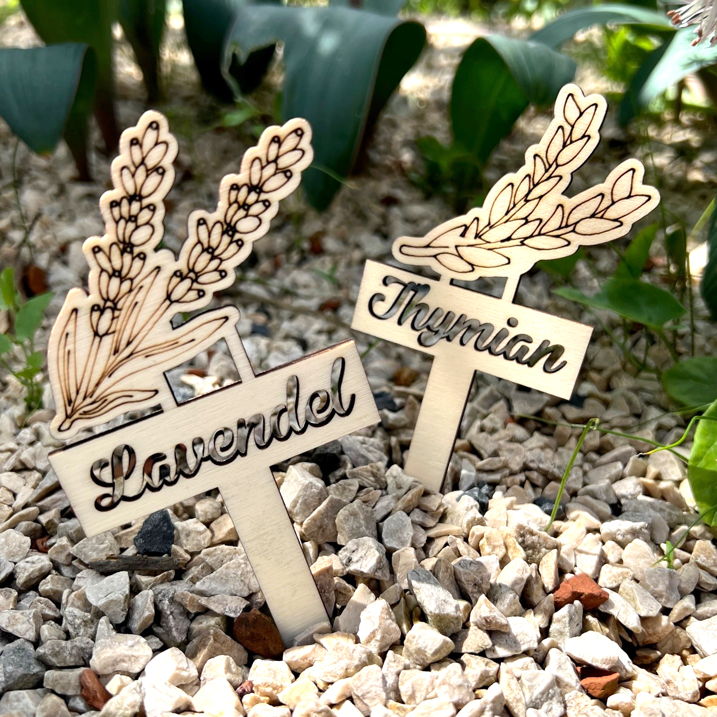 Holzpflanzstecker Lavendel und Thymian