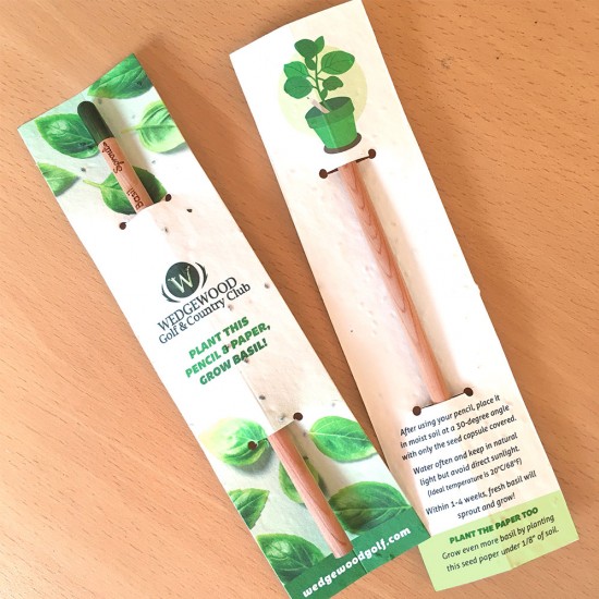 ECO Pflanzbleistift mit Samenpapier-Aufsteckkarte
