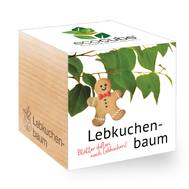 Pflanzwürfel WEIHNACHTEN