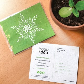 Samenpapier Weihnachtskarten von A&M Kreativfabrik