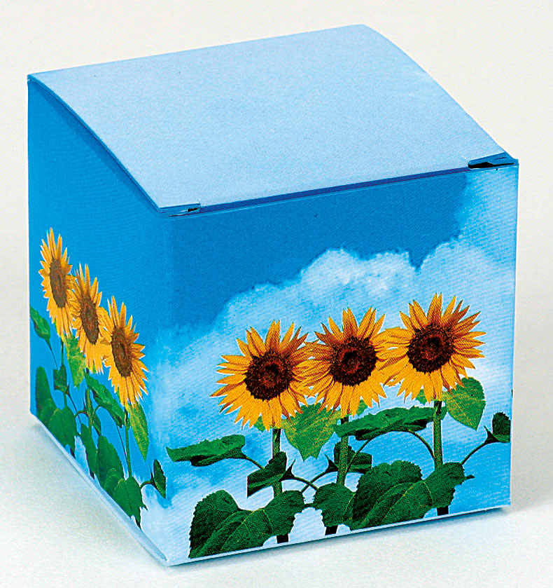 Saatwürfel mit Tontöpfchen