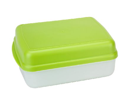 Bio Snackbox Lunch zweifarbig