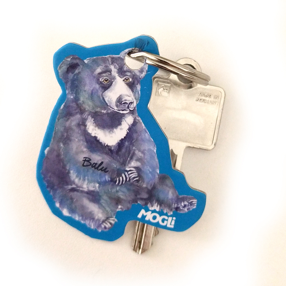 Ökologischer Schlüsselanhänger aus FSC-Karton Balu