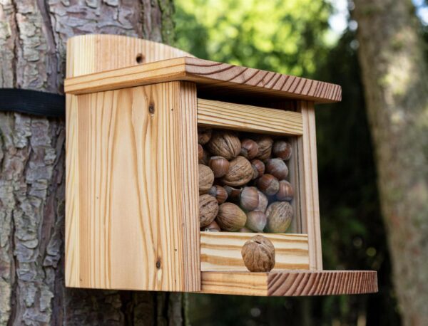 Futterhaus für Eichhörnchen am Baum aufgehängt