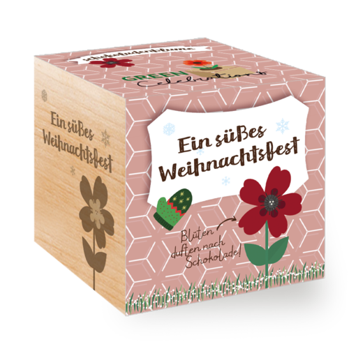Pflanzwürfel SCHOKOLADENBLUME