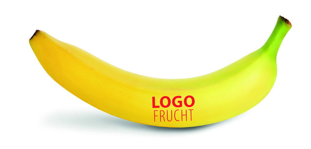 Logo-Obst und Gemüse