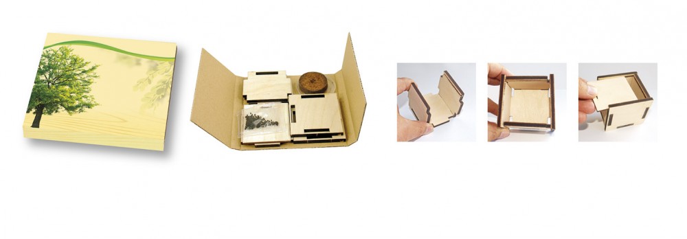 Pflanzsteckbox für Mailings